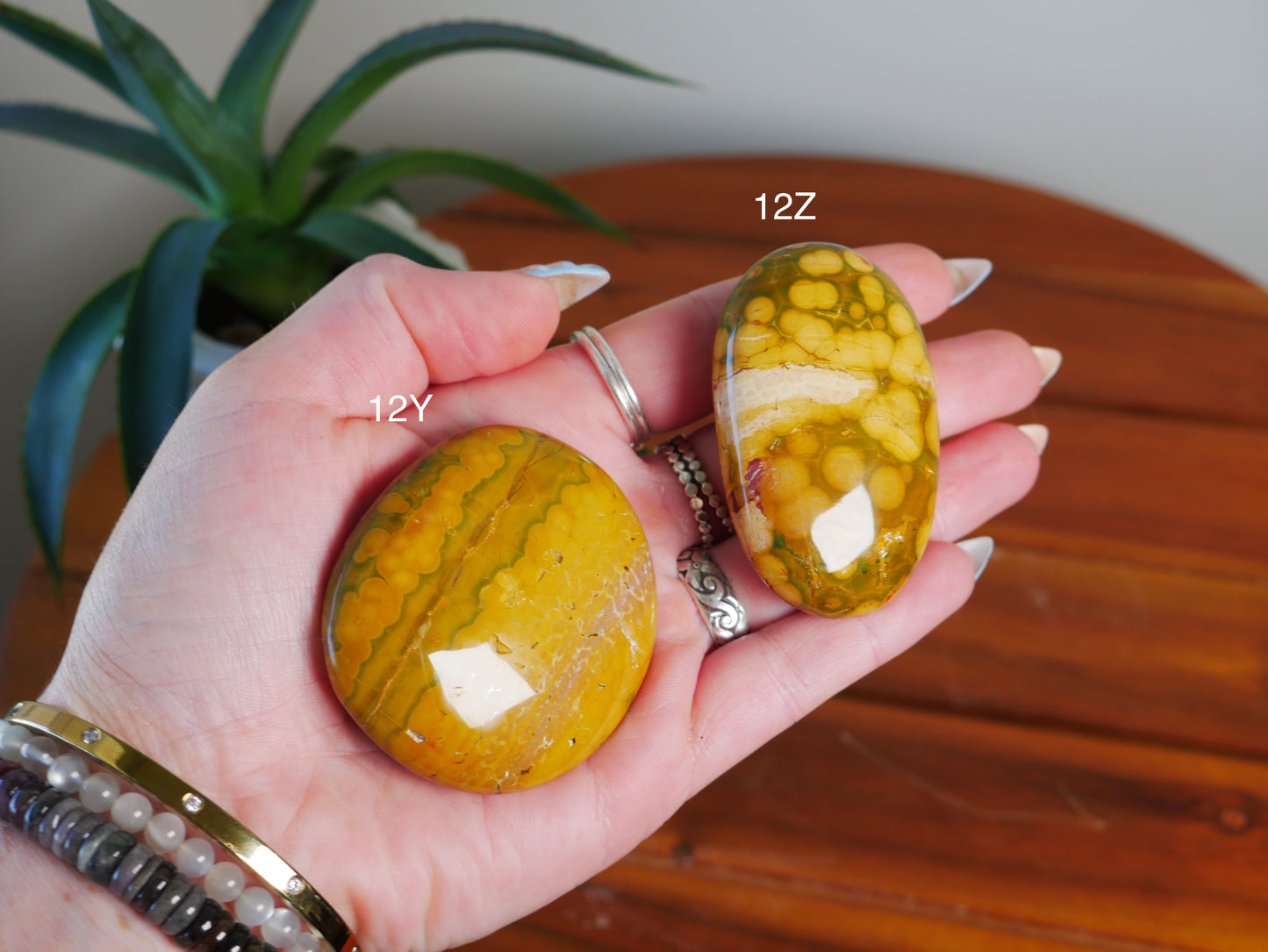 Kabamby Ocean Jasper Palm Stone [various]