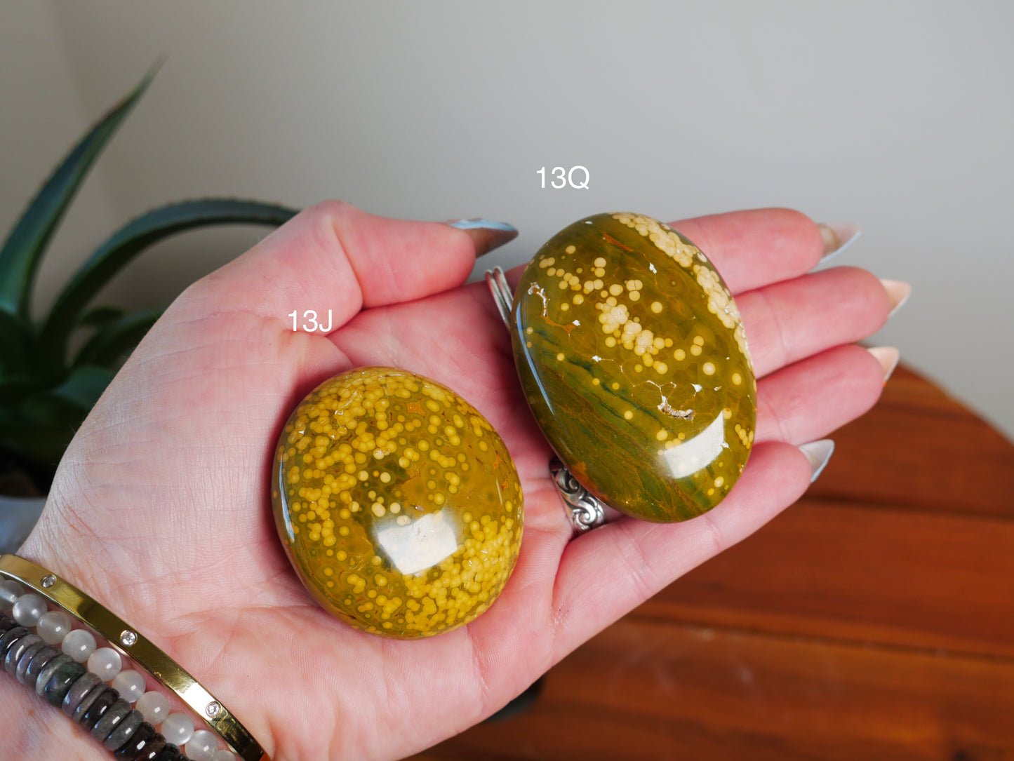 Kabamby Ocean Jasper Palm Stone [various]