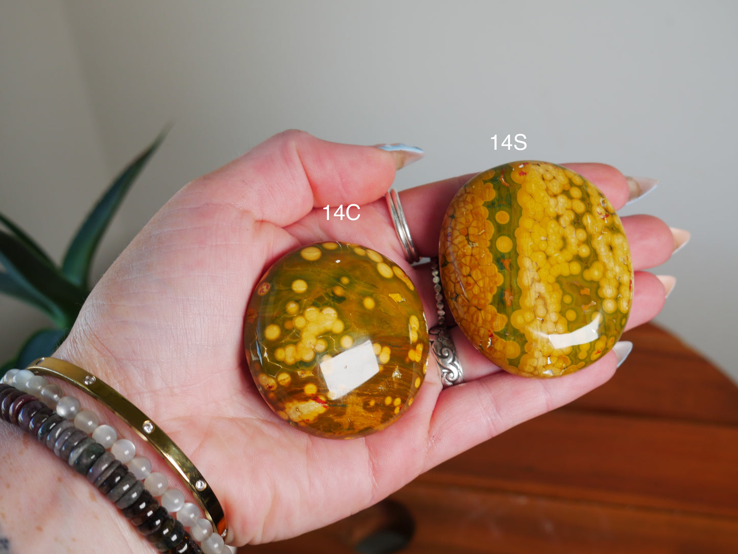 Kabamby Ocean Jasper Palm Stone [various]