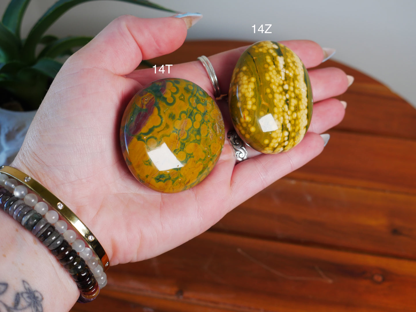 Kabamby Ocean Jasper Palm Stone [various]