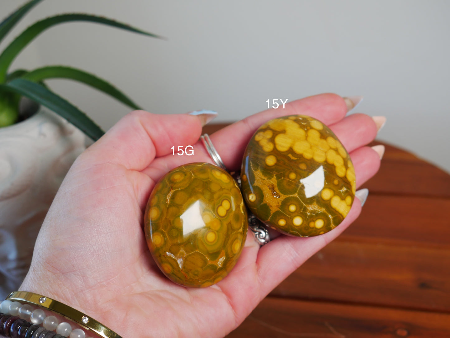 Kabamby Ocean Jasper Palm Stone [various]