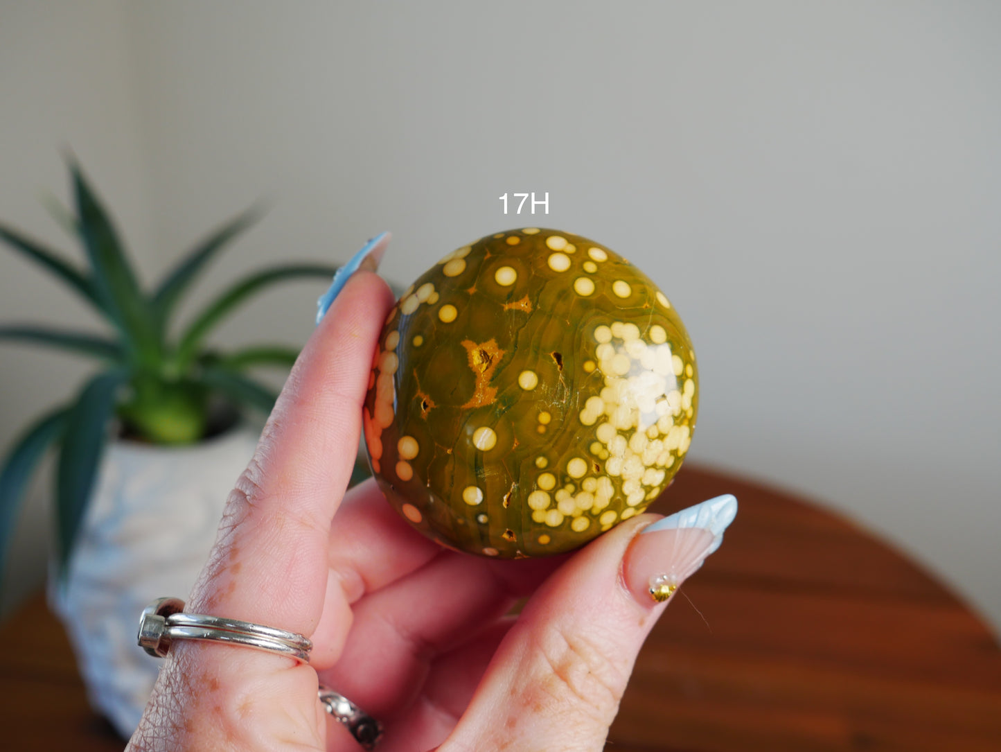 Kabamby Ocean Jasper Palm Stone [various]