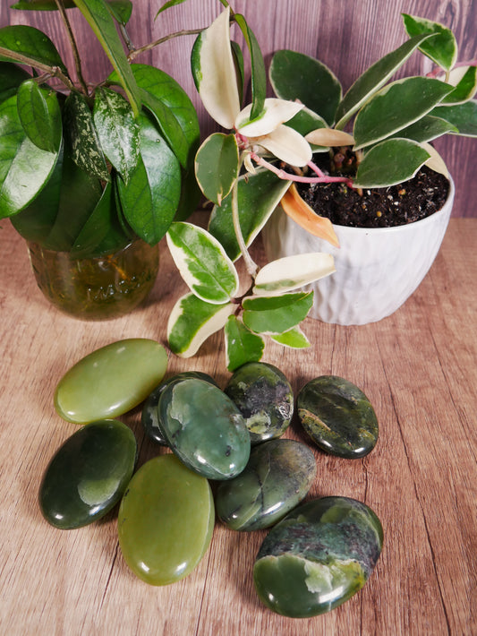 Glossy Serpentine Palm Stones [various]