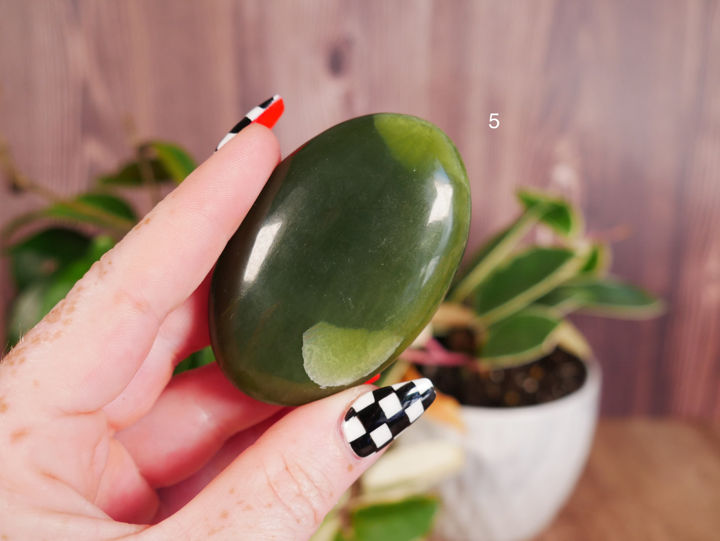 Glossy Serpentine Palm Stones [various]
