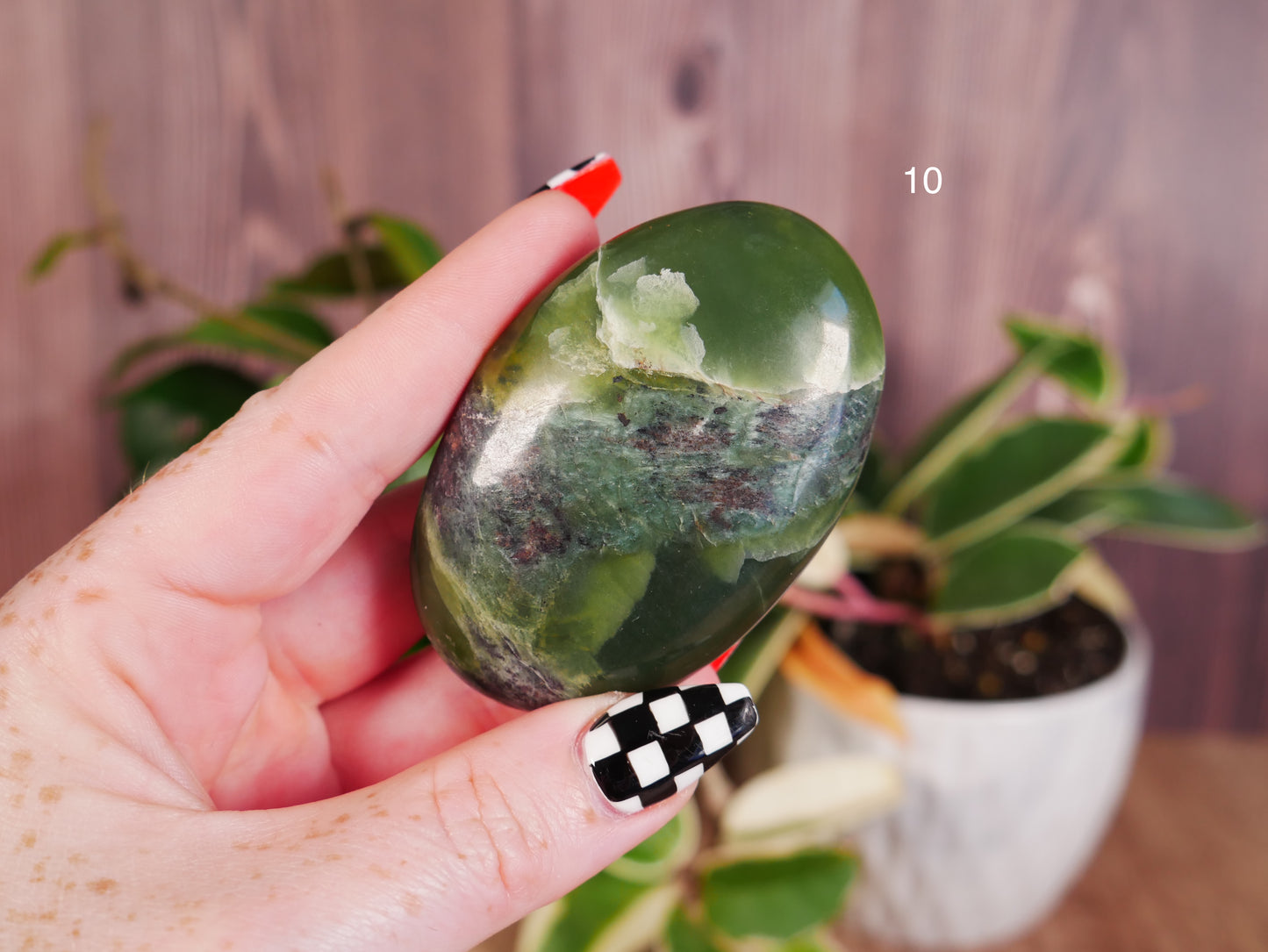 Glossy Serpentine Palm Stones [various]