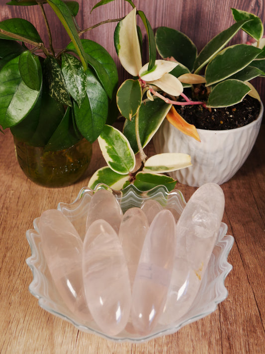 Girasol Rose Quartz Shiva [various]
