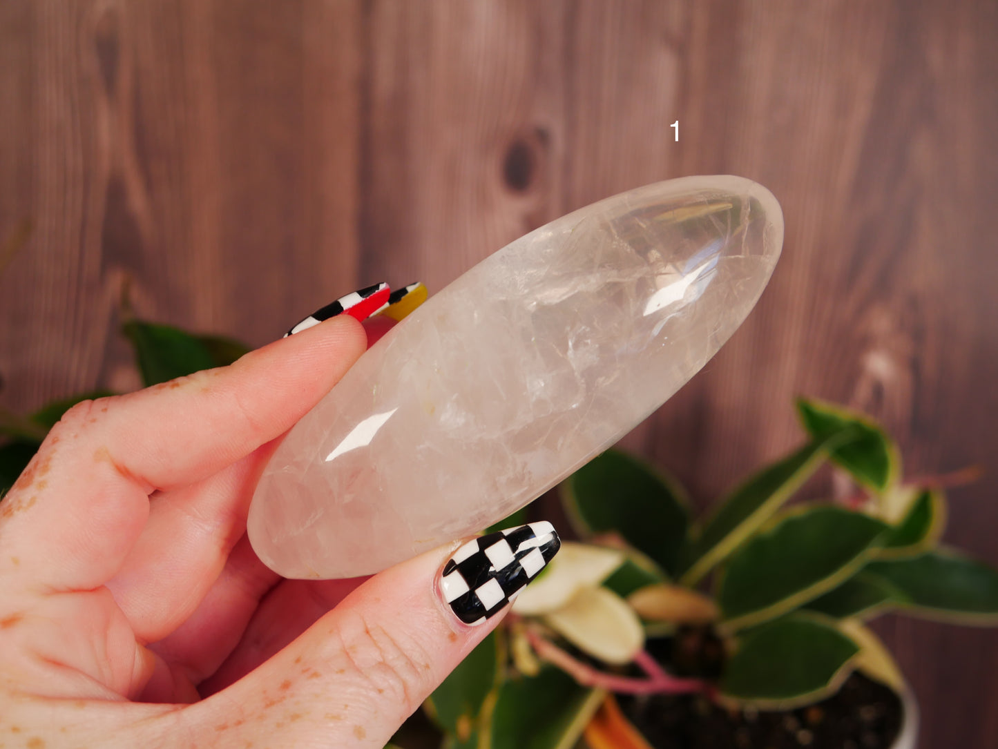 Girasol Rose Quartz Shiva [various]