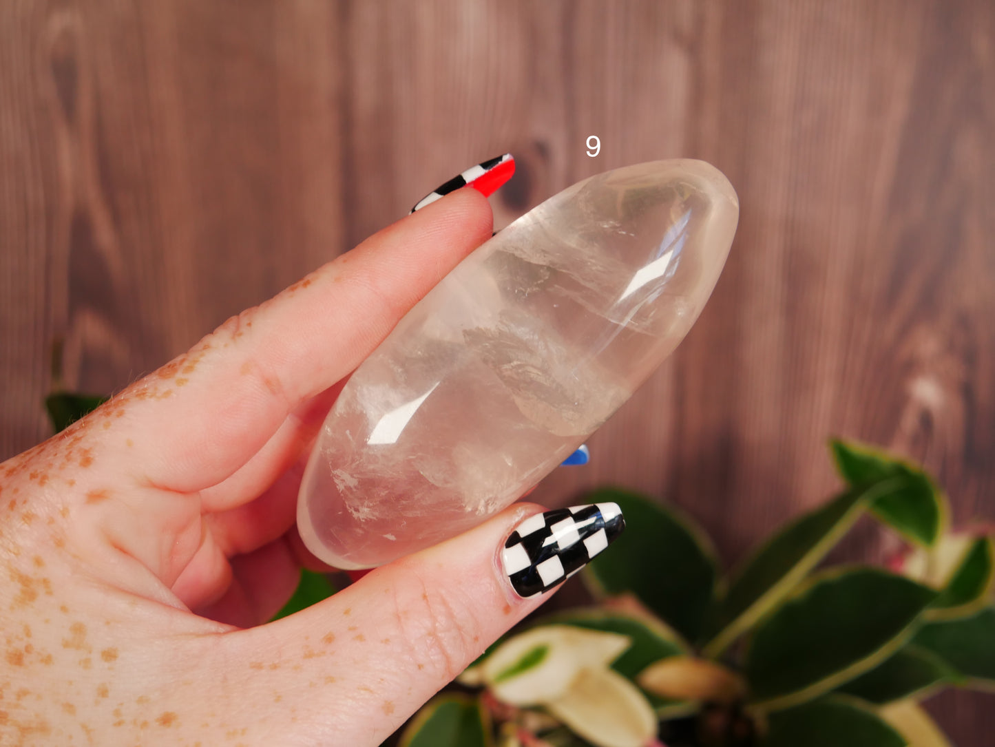Girasol Rose Quartz Shiva [various]