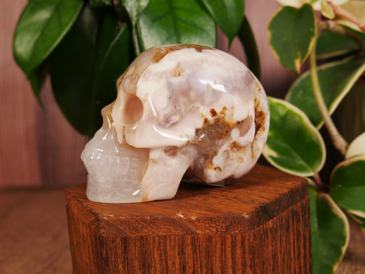 Flower Agate Skull