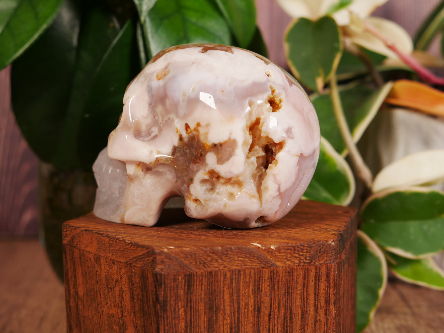 Flower Agate Skull