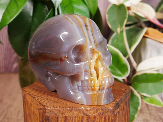 Agate Skull #7