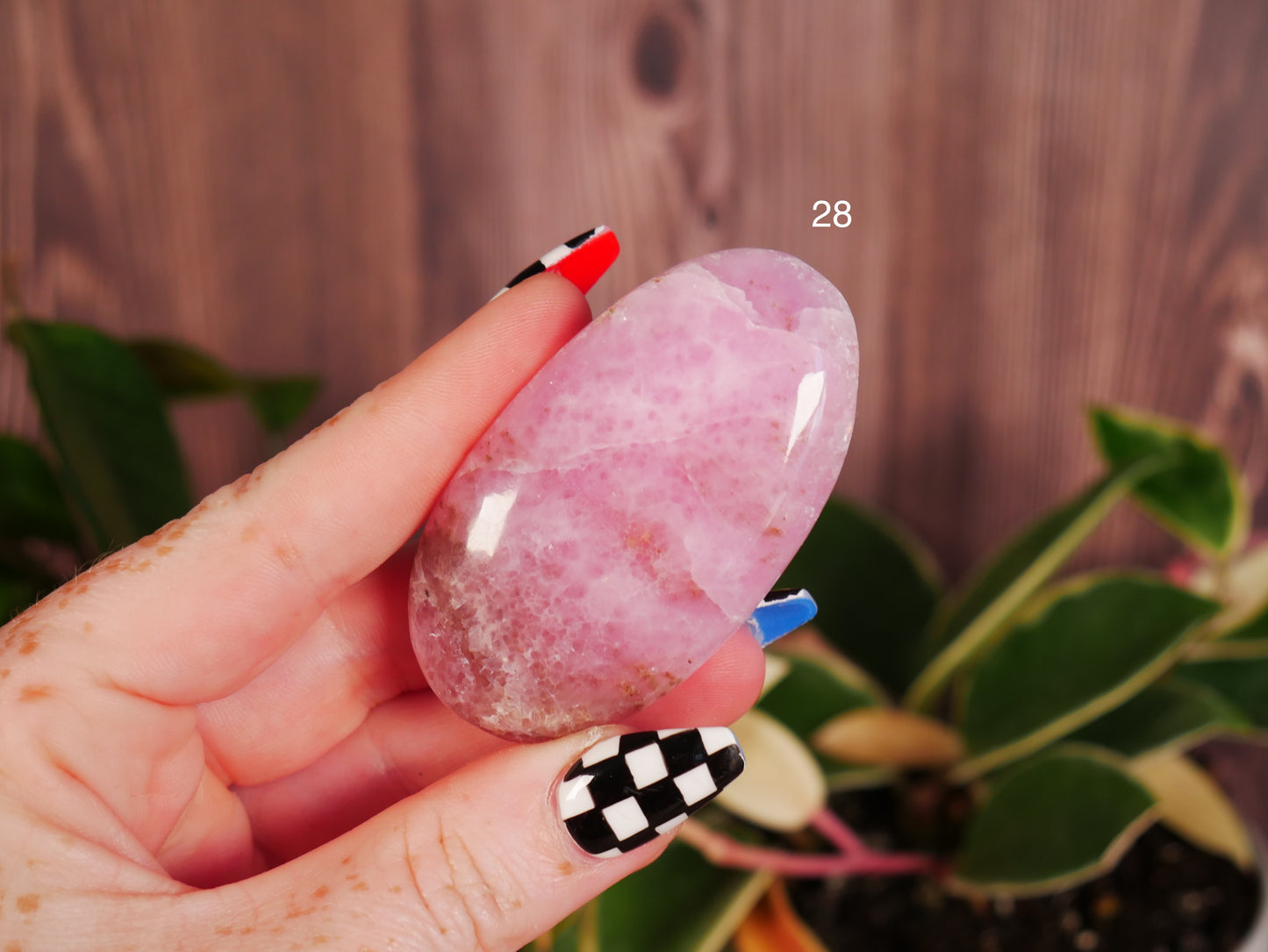 Pink Aragonite Palm Stone [various]
