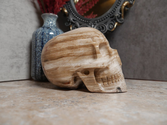 Petrified Wood Mitchell Hodges Skull