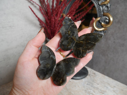 Labradorite 3D Butterflies [various]