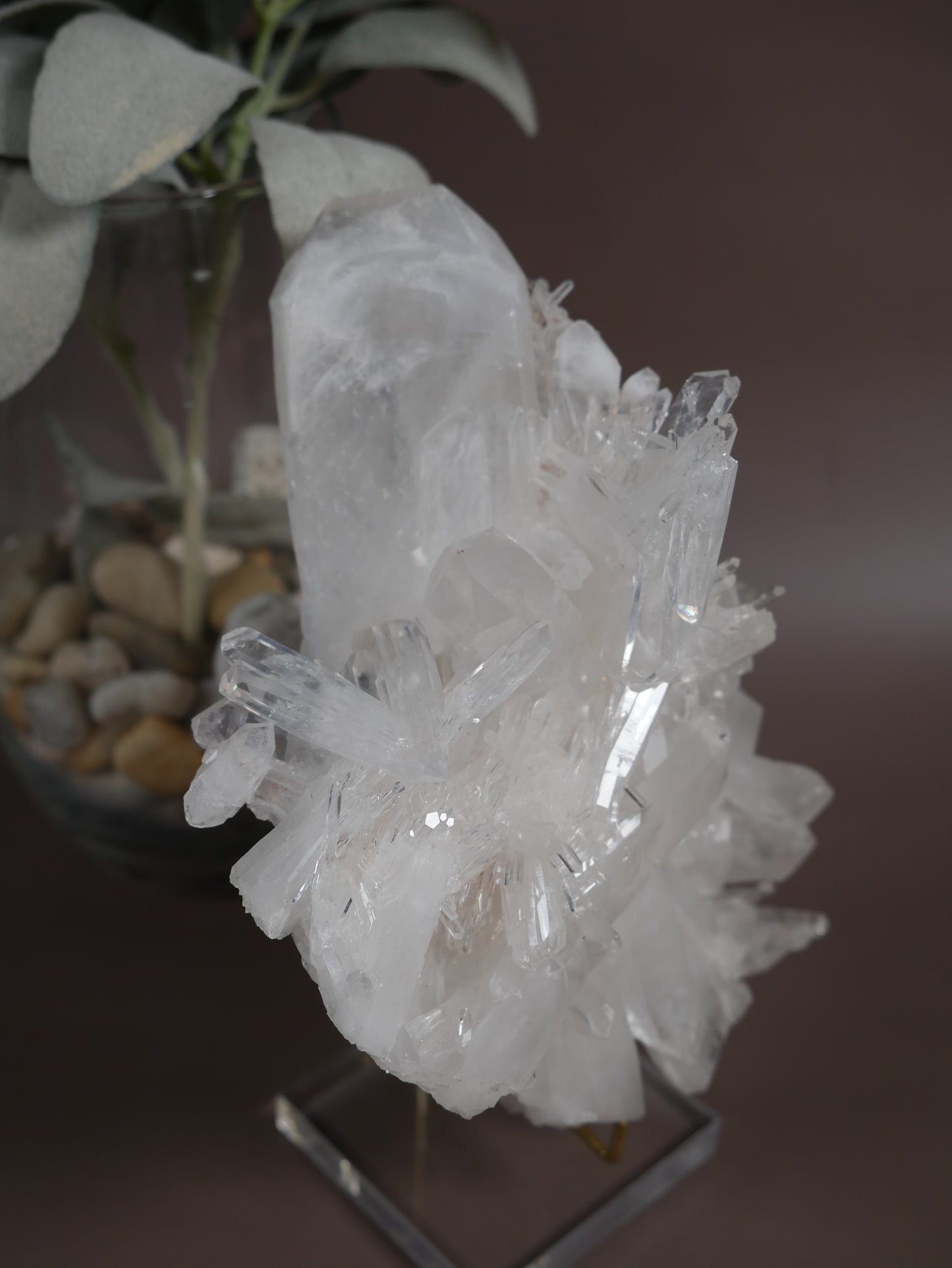 Columbian Lemurian with Faden Crystal