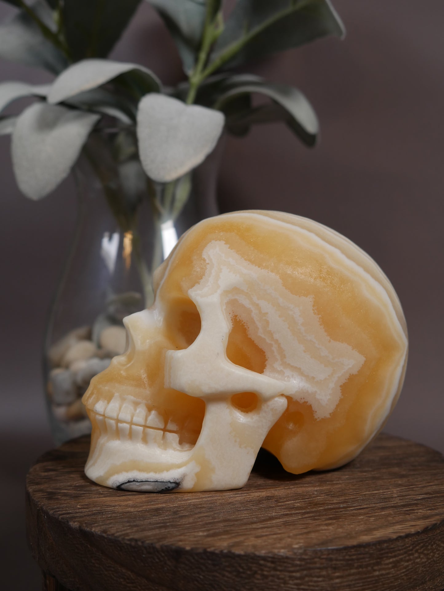 Zebra Onyx Skull