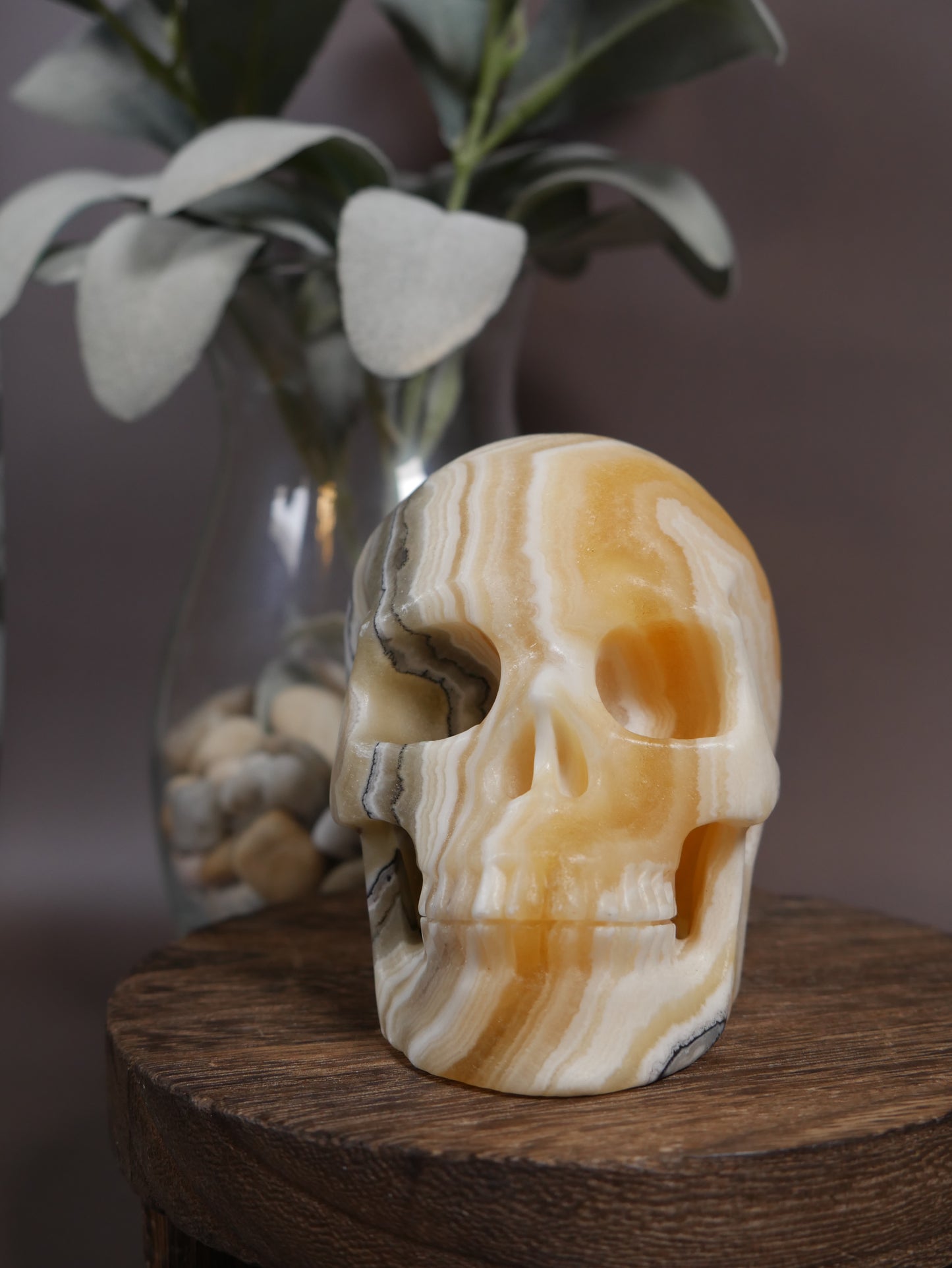 Zebra Onyx Skull