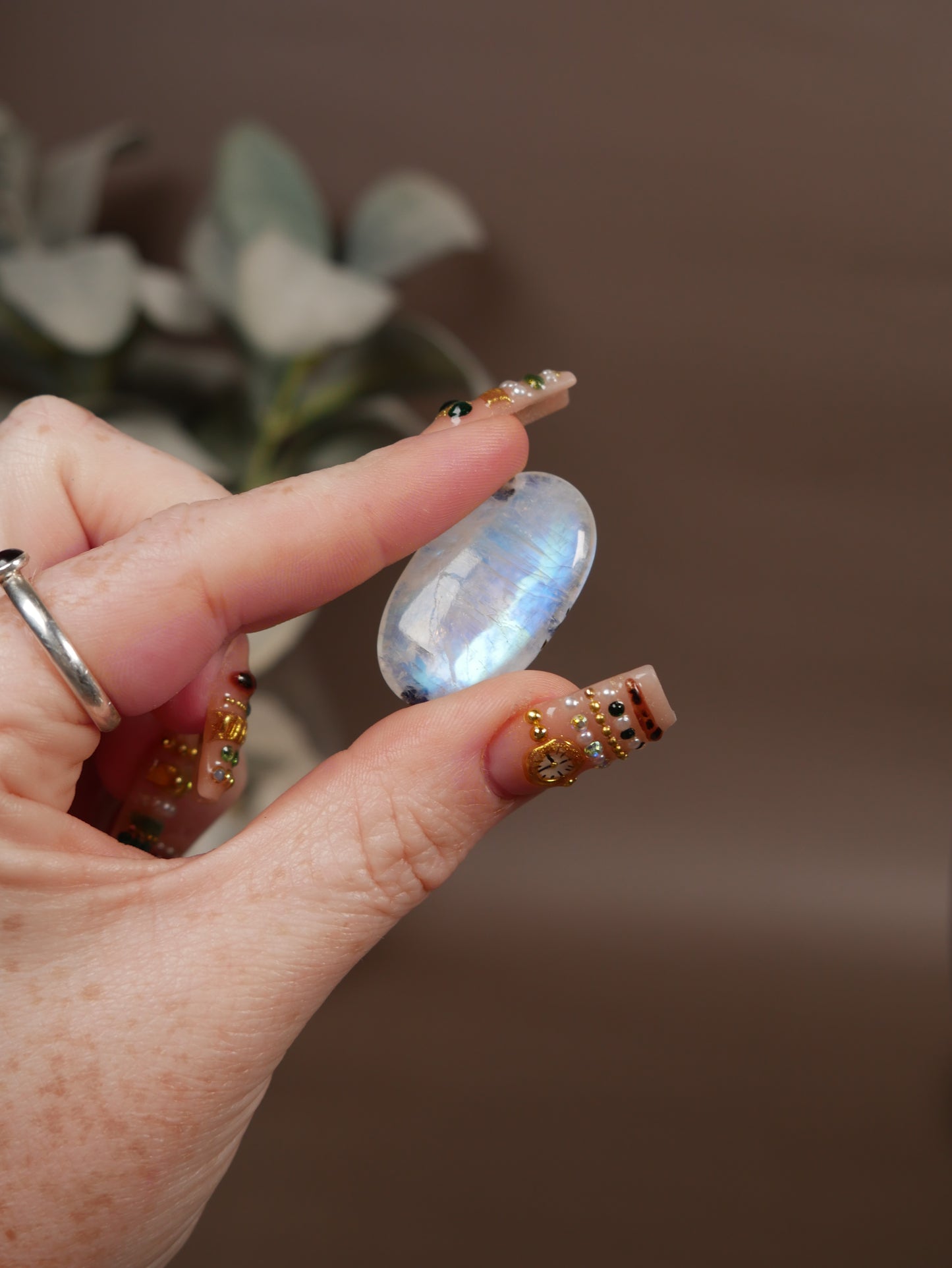 AAA Grade Moonstone Pocket Palm #3
