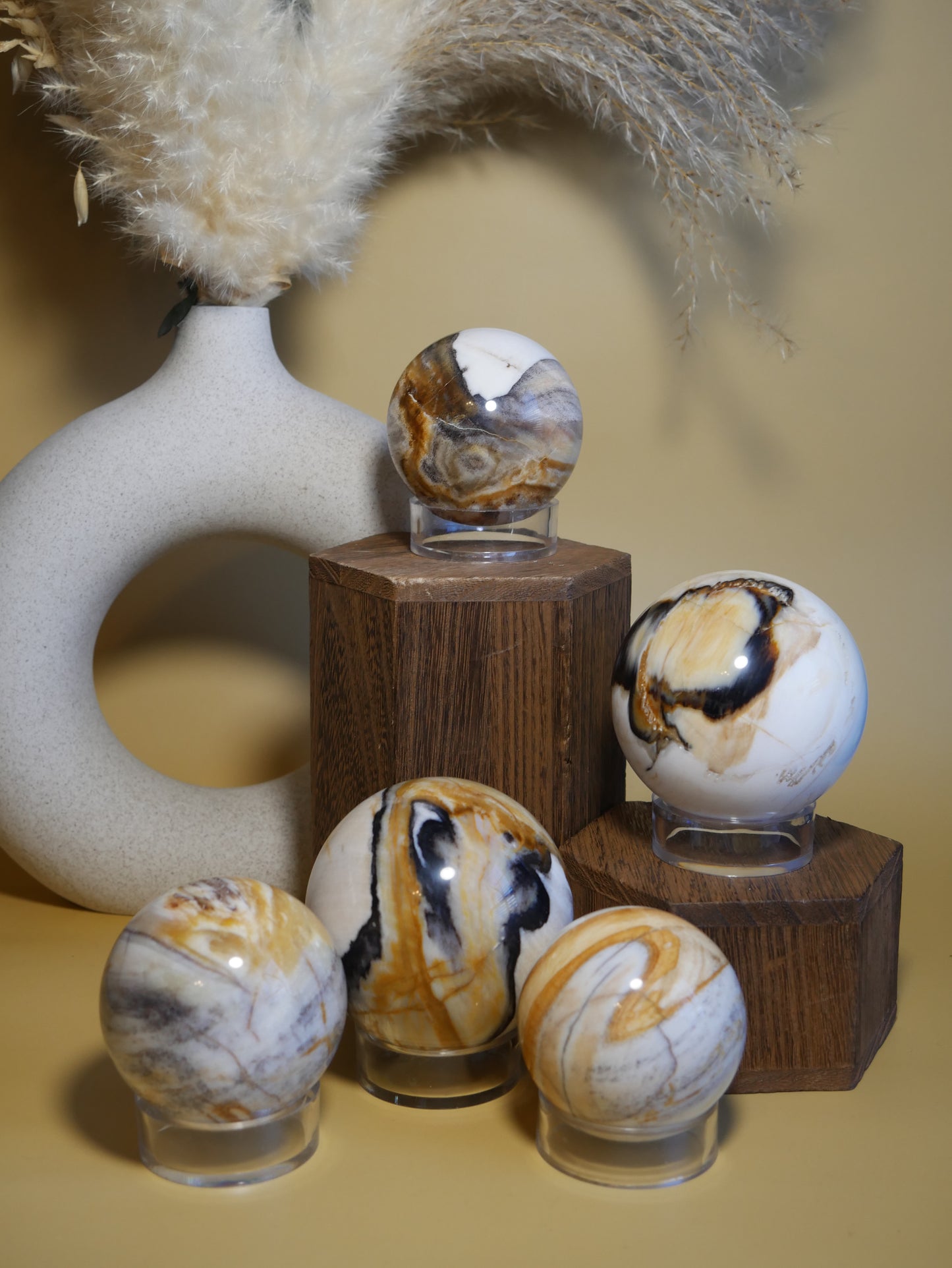 Petrified Wood Sphere [various]