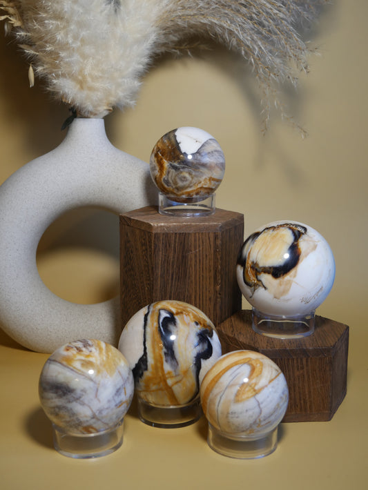 Petrified Wood Sphere [various]