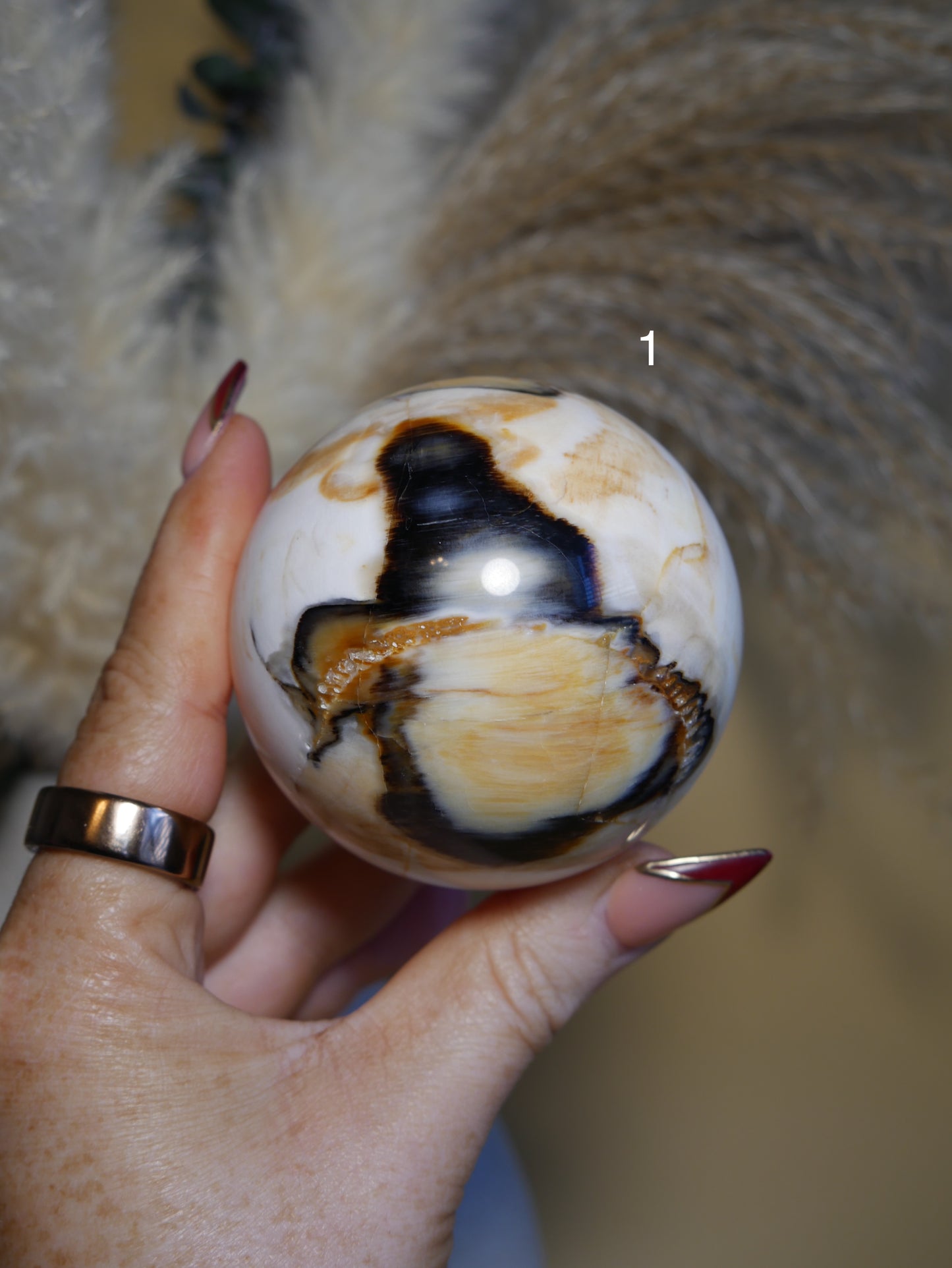 Petrified Wood Sphere [various]