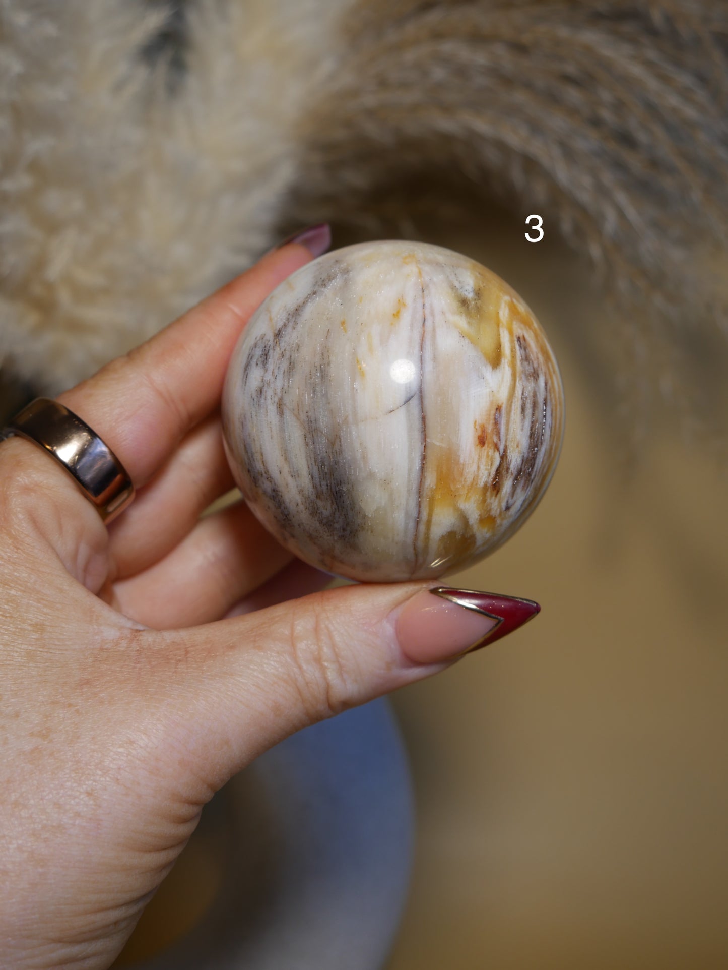 Petrified Wood Sphere [various]