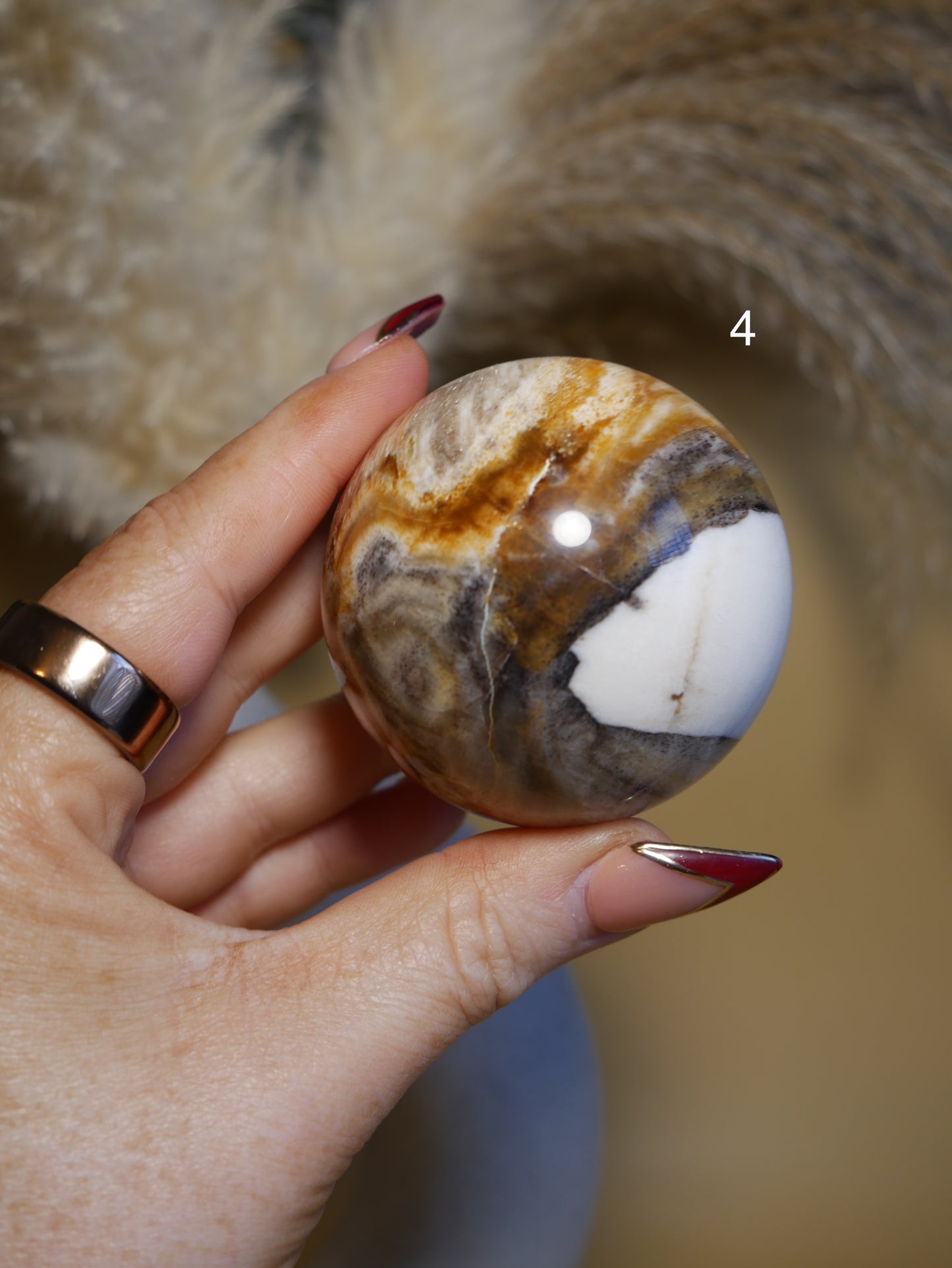 Petrified Wood Sphere [various]