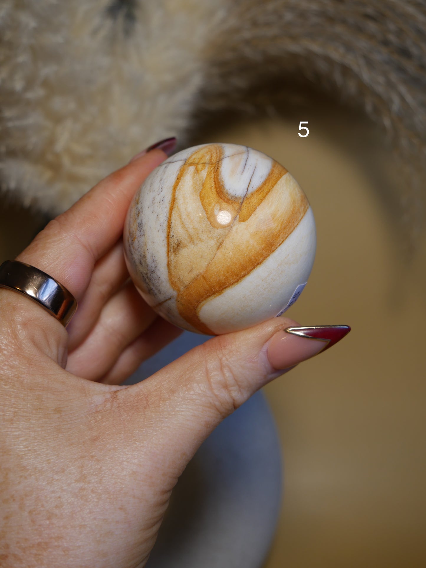 Petrified Wood Sphere [various]