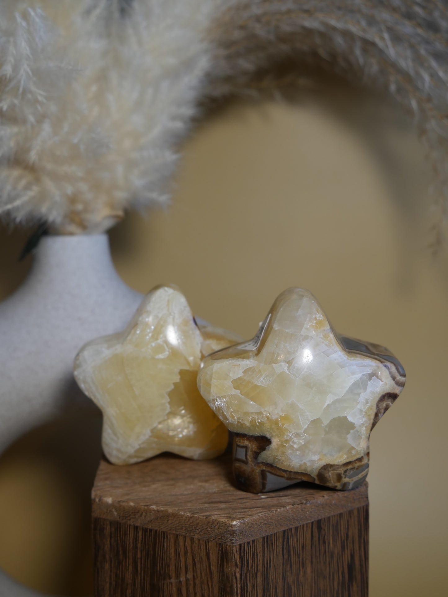 Septarian Star [various]