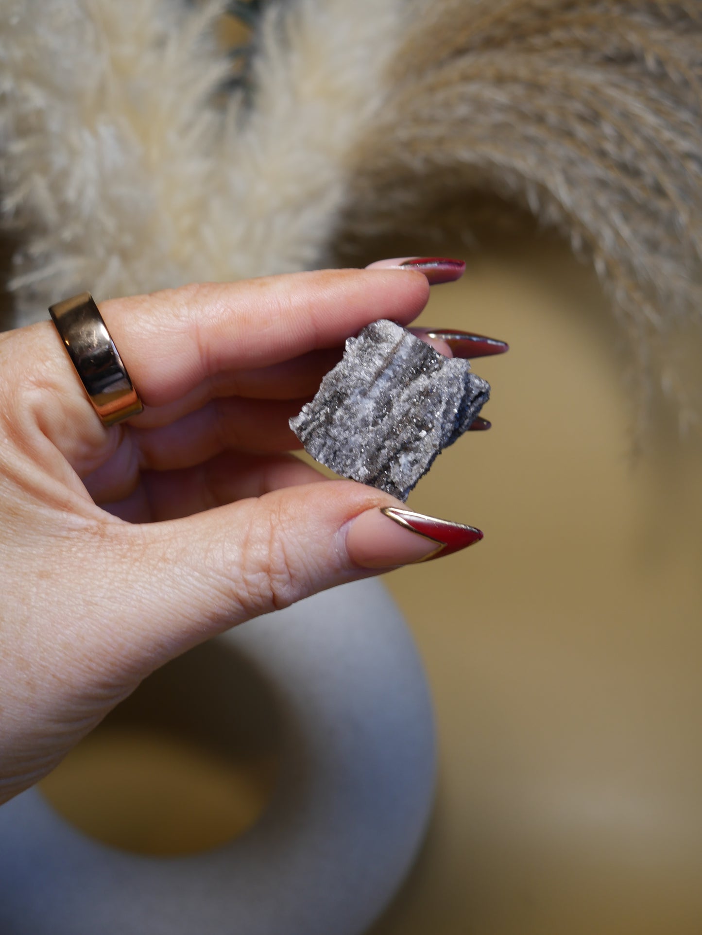 Arizona Crystallized Fossil Wood #5