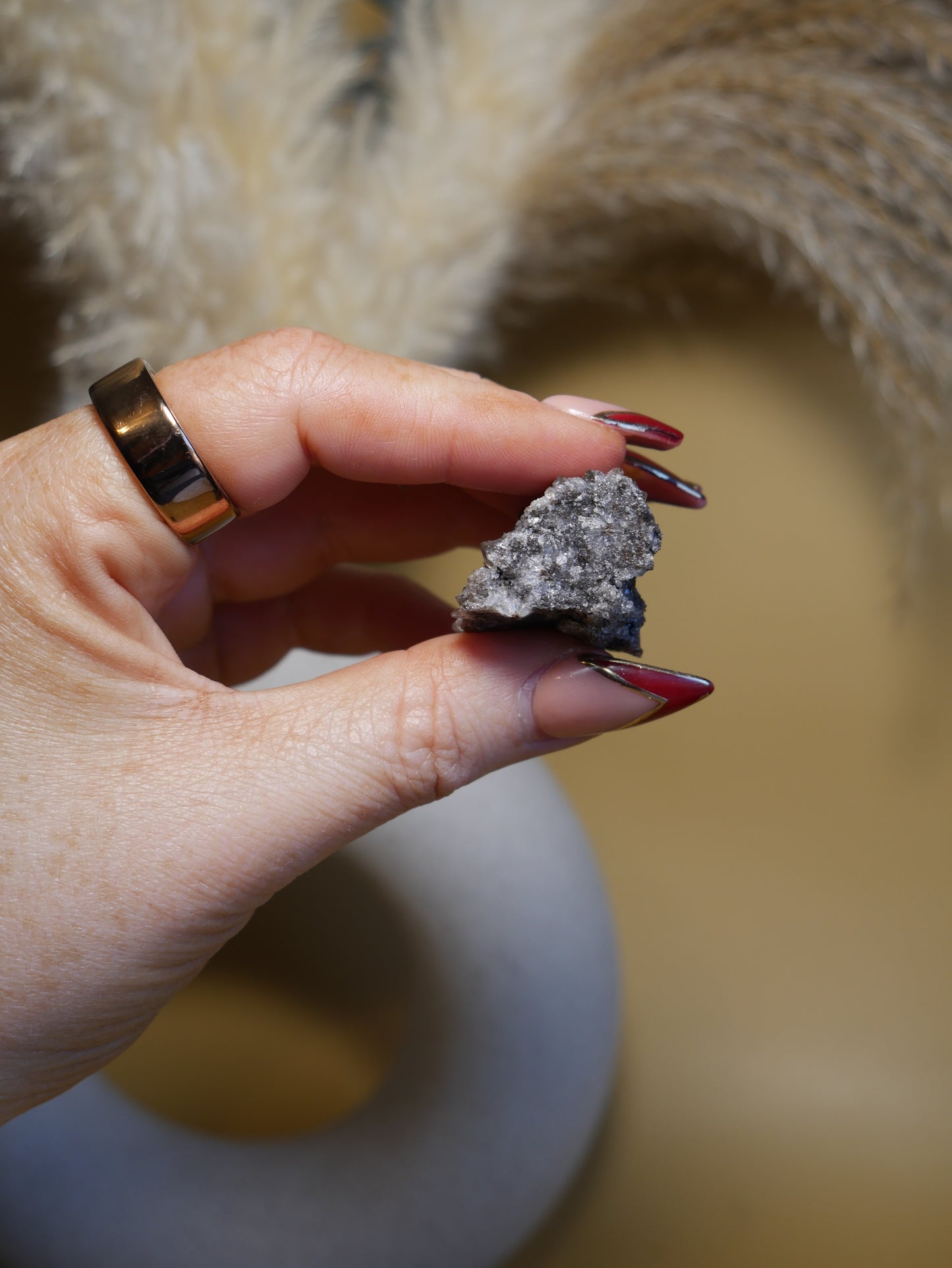 Arizona Crystallized Fossil Wood #5