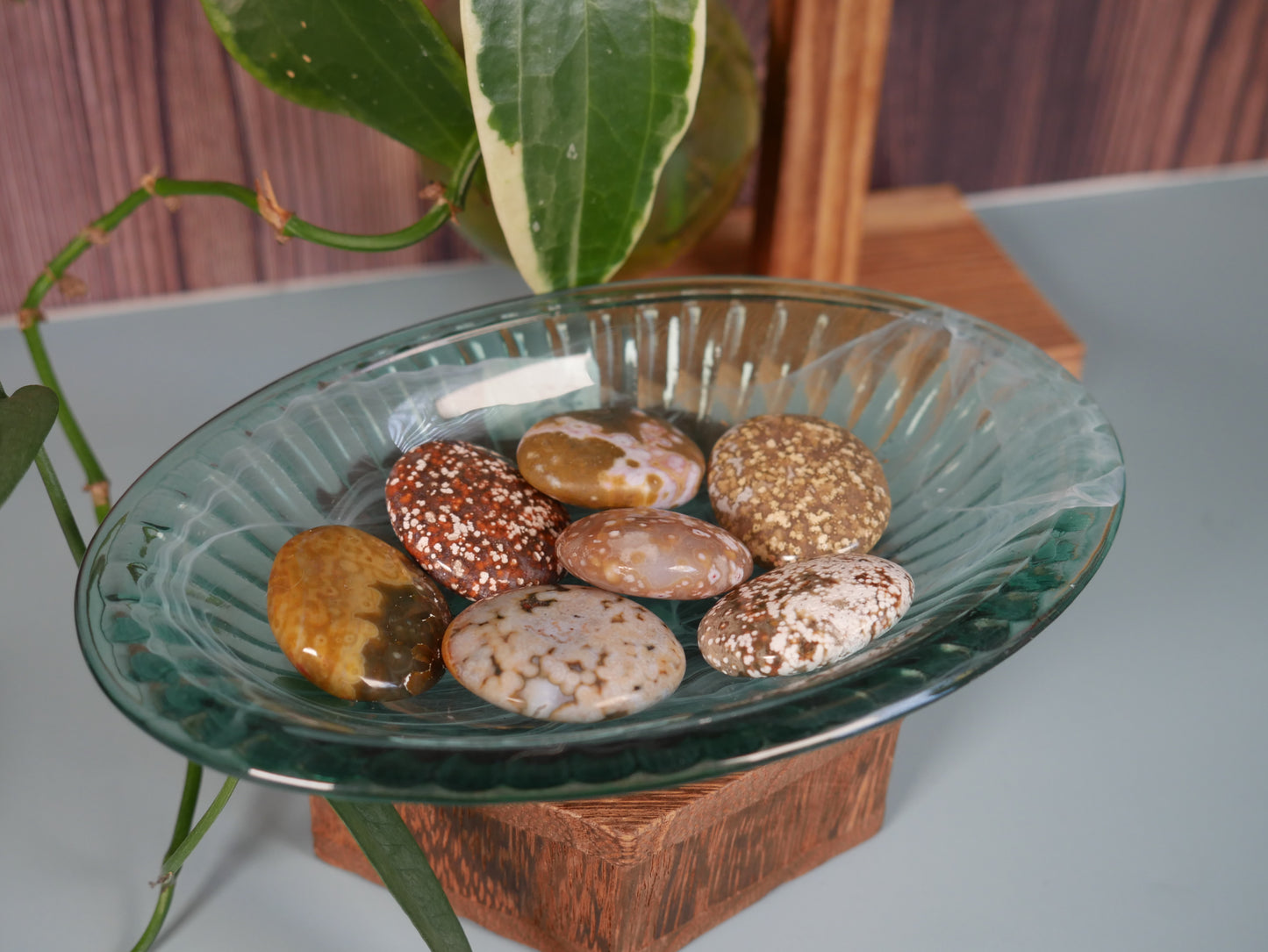 Ocean Jasper Cookie
