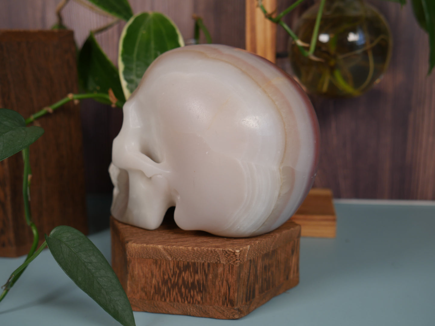 Pink-banded Onyx Skull