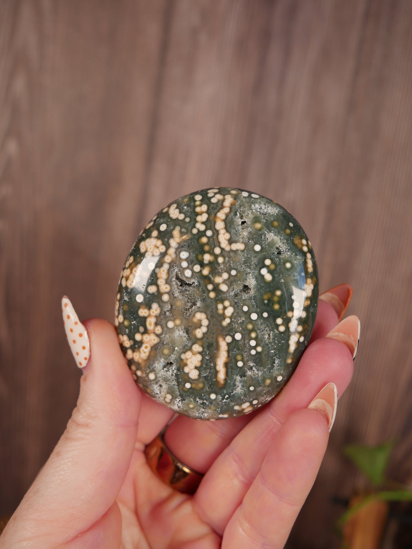 Ocean Jasper Palm Stone #2