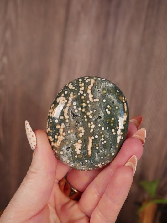 Ocean Jasper Palm Stone #2