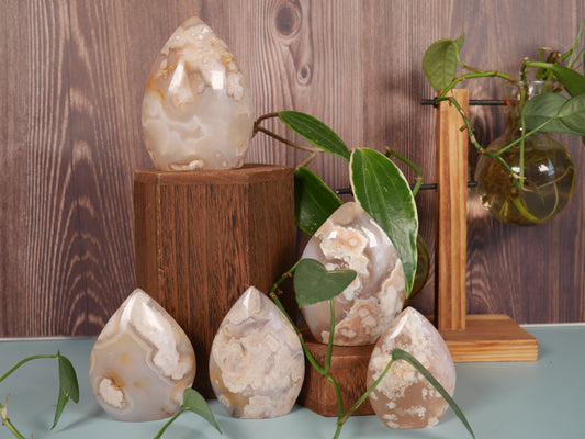 Flower Agate Flame [various]