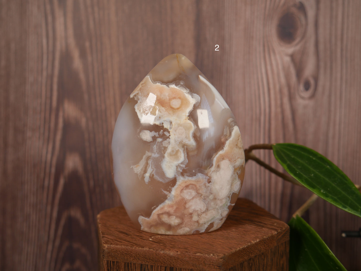 Flower Agate Flame [various]