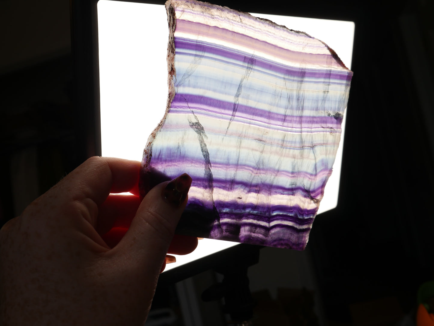 Rainbow Fluorite Slab #2