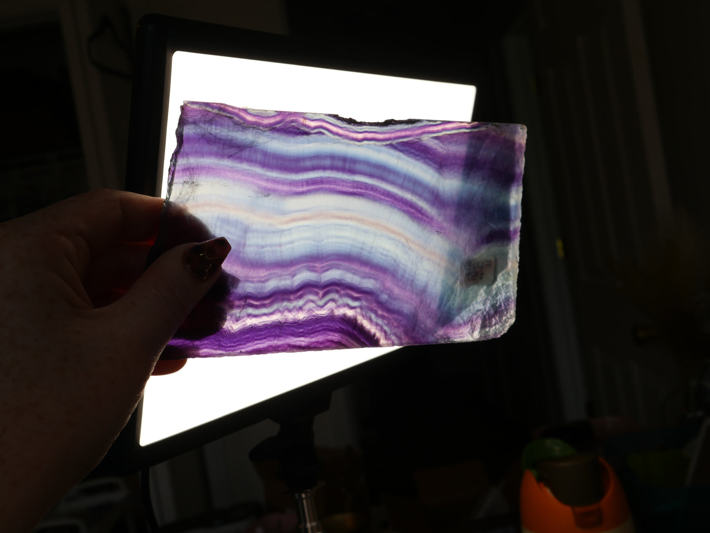 Rainbow Fluorite Slab #5