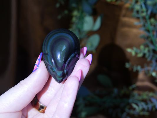 Rainbow Obsidian Alien #6