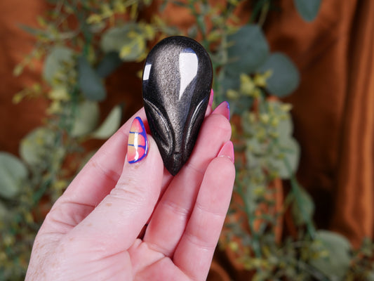 Silver Sheen Obsidian Alien #4