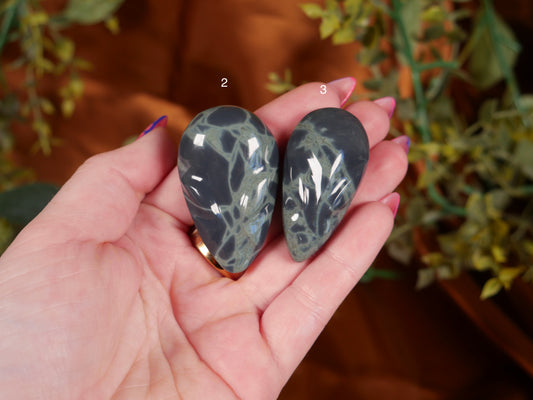 Spiderweb Obsidian Alien [small]