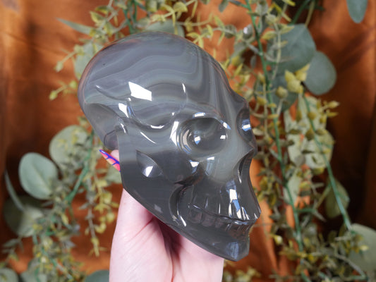 Platinum Obsidian Skull