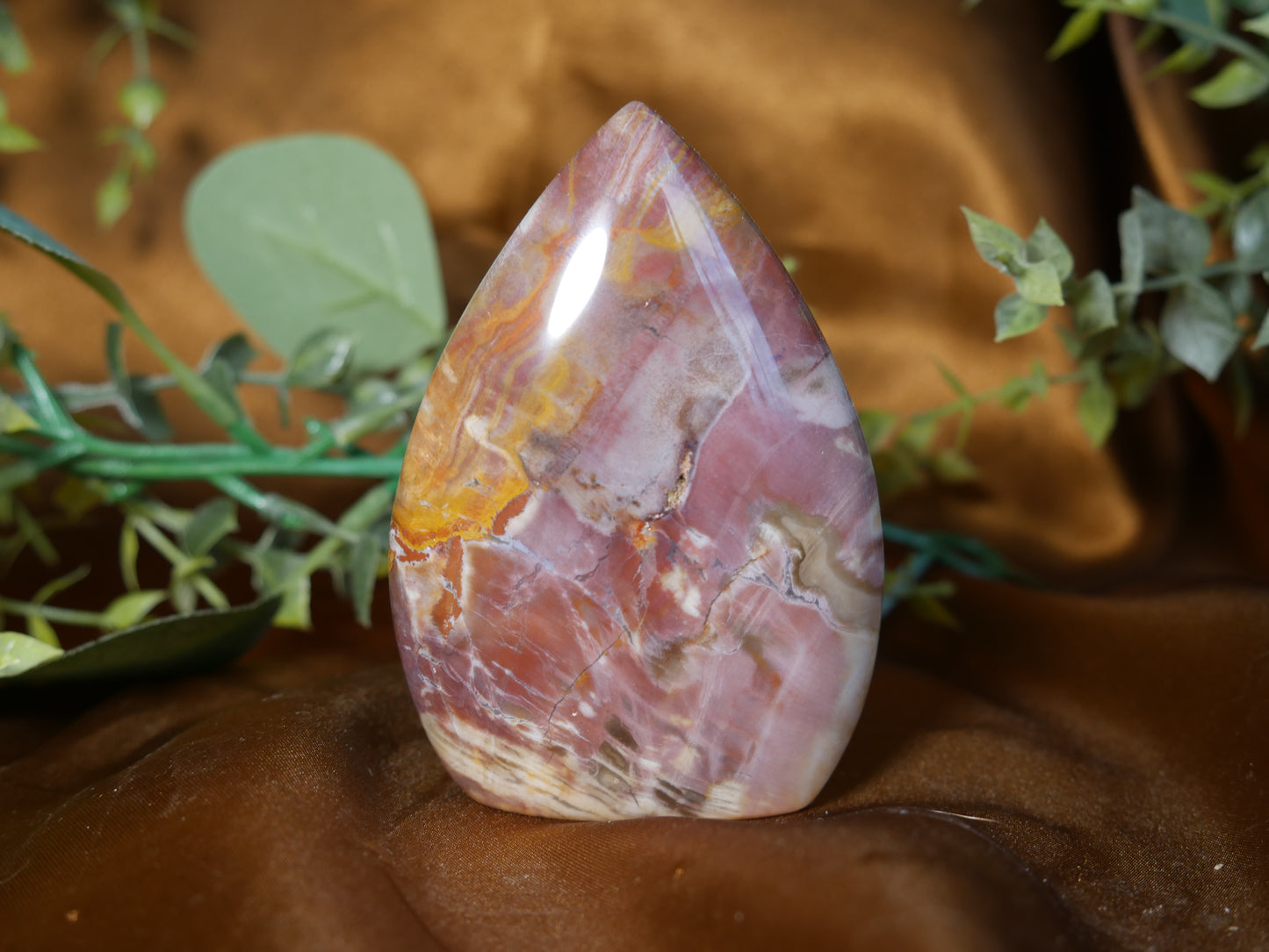 Petrified Wood Flame #2