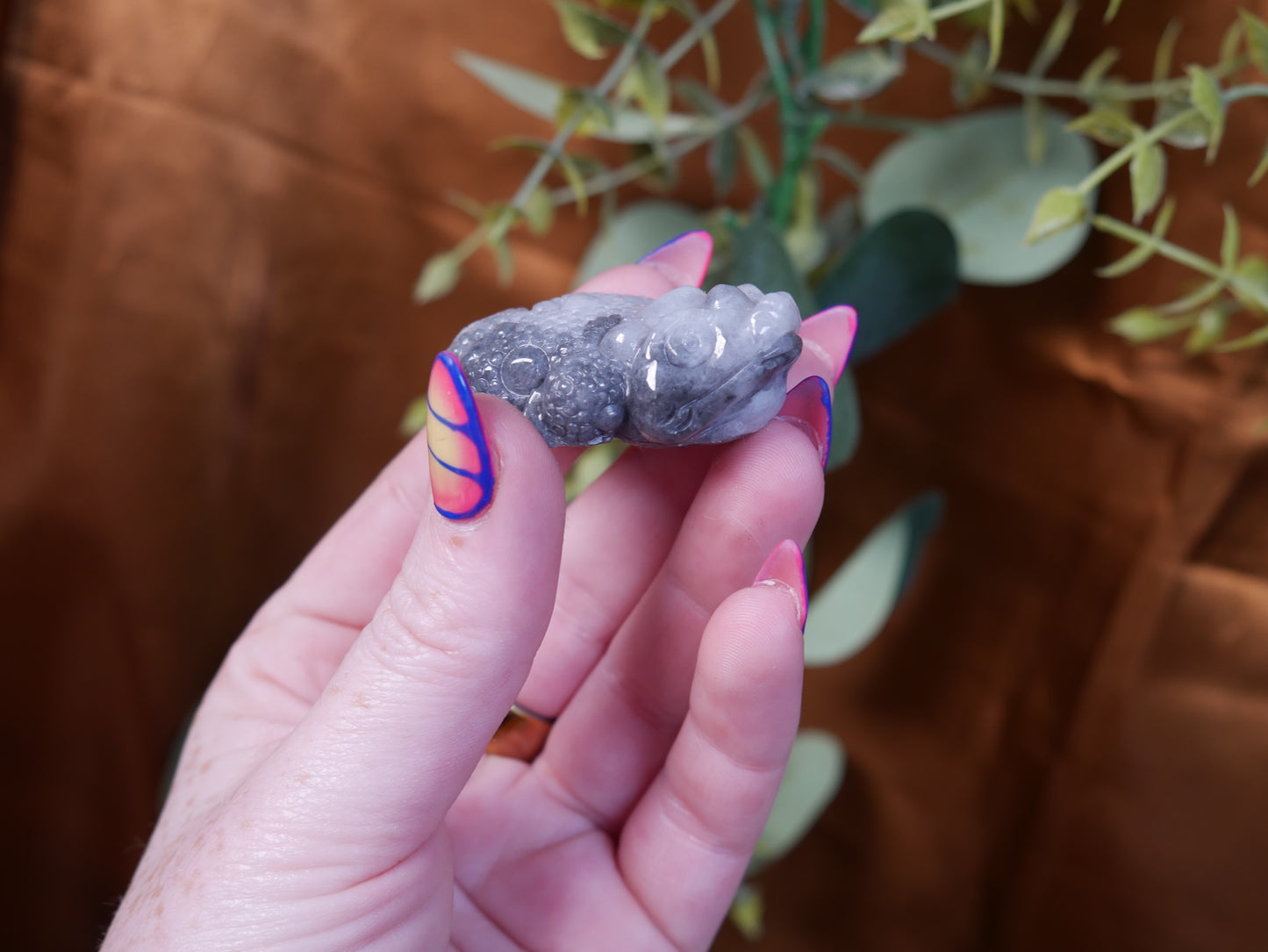 Burma Jade Money Toad - Black