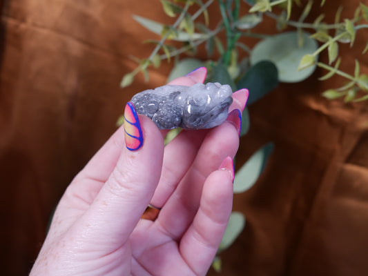 Burma Jade Money Toad - Black