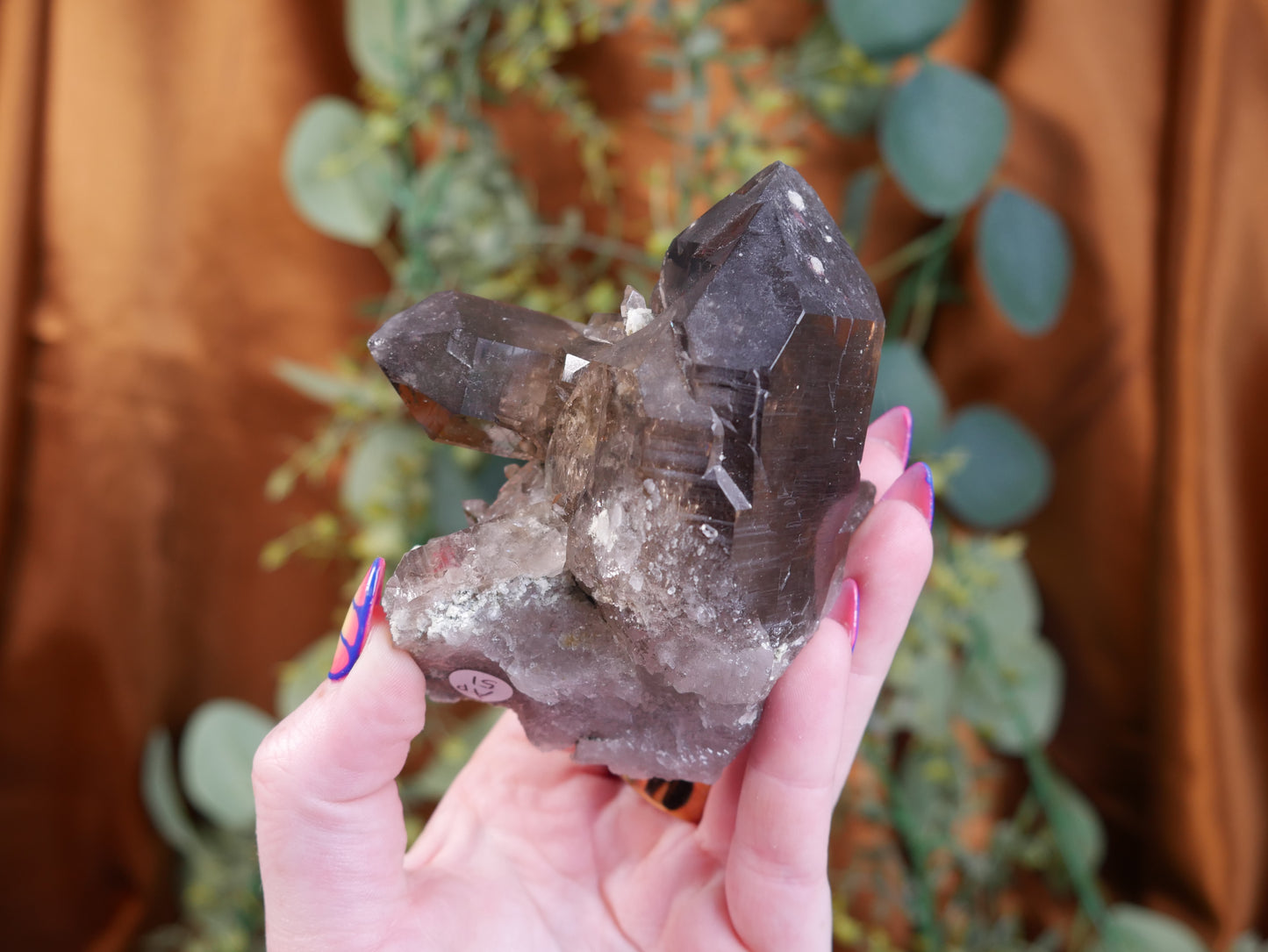 Alpine Smokey Quartz #1