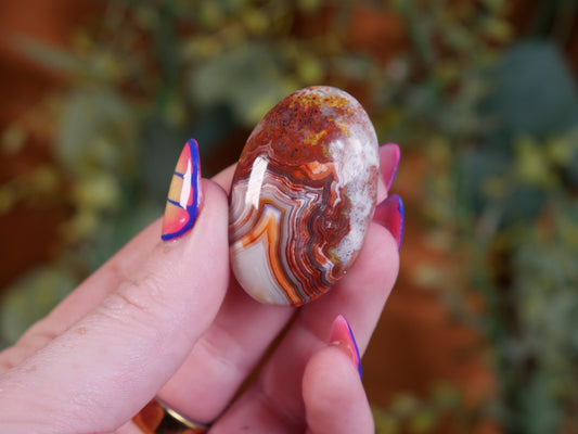 Crazy Lace Agate Palm Stone #2