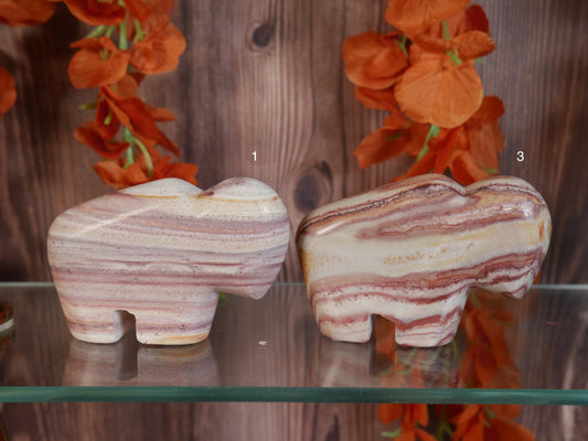 Utah Rainbow Rhyolite Buffalo