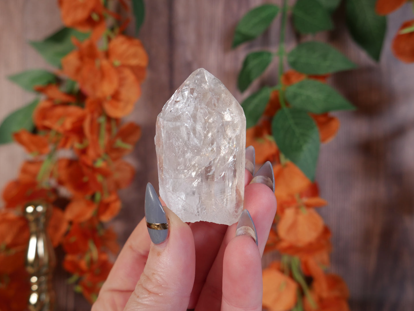 Himalayan Quartz #10